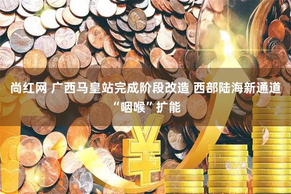 尚红网 广西马皇站完成阶段改造 西部陆海新通道“咽喉”扩能